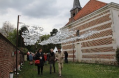 Et aussi 47 * 5184 x 3456 * (8.1MB)